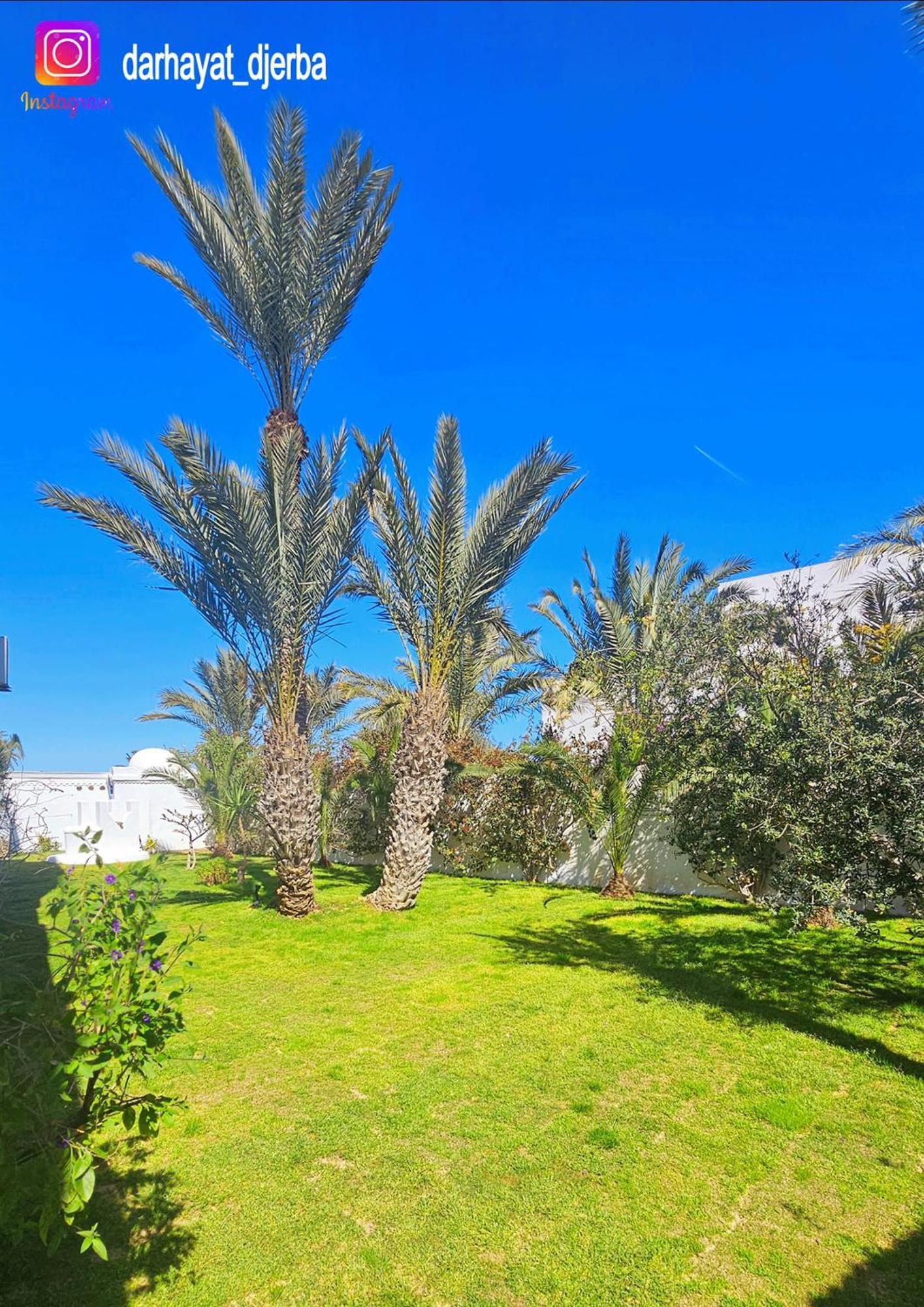 Villa Dar Hayat Triffa Exterior foto